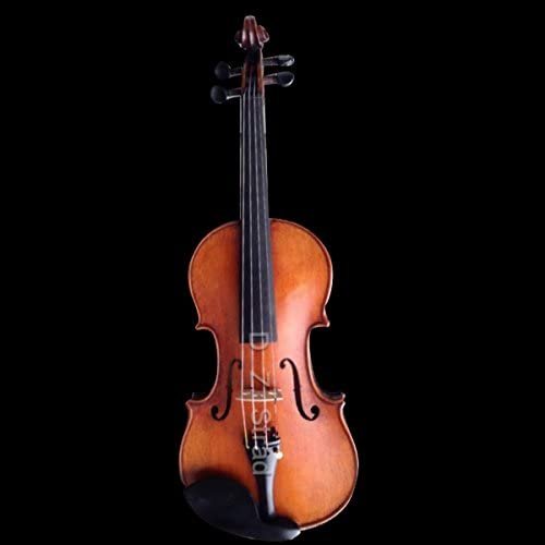 D Z Strad Violin Model 800 Full Size 4/4 (includes Dominant Strings, Bow, Case, and Rosin) (Full Size - 4/4)