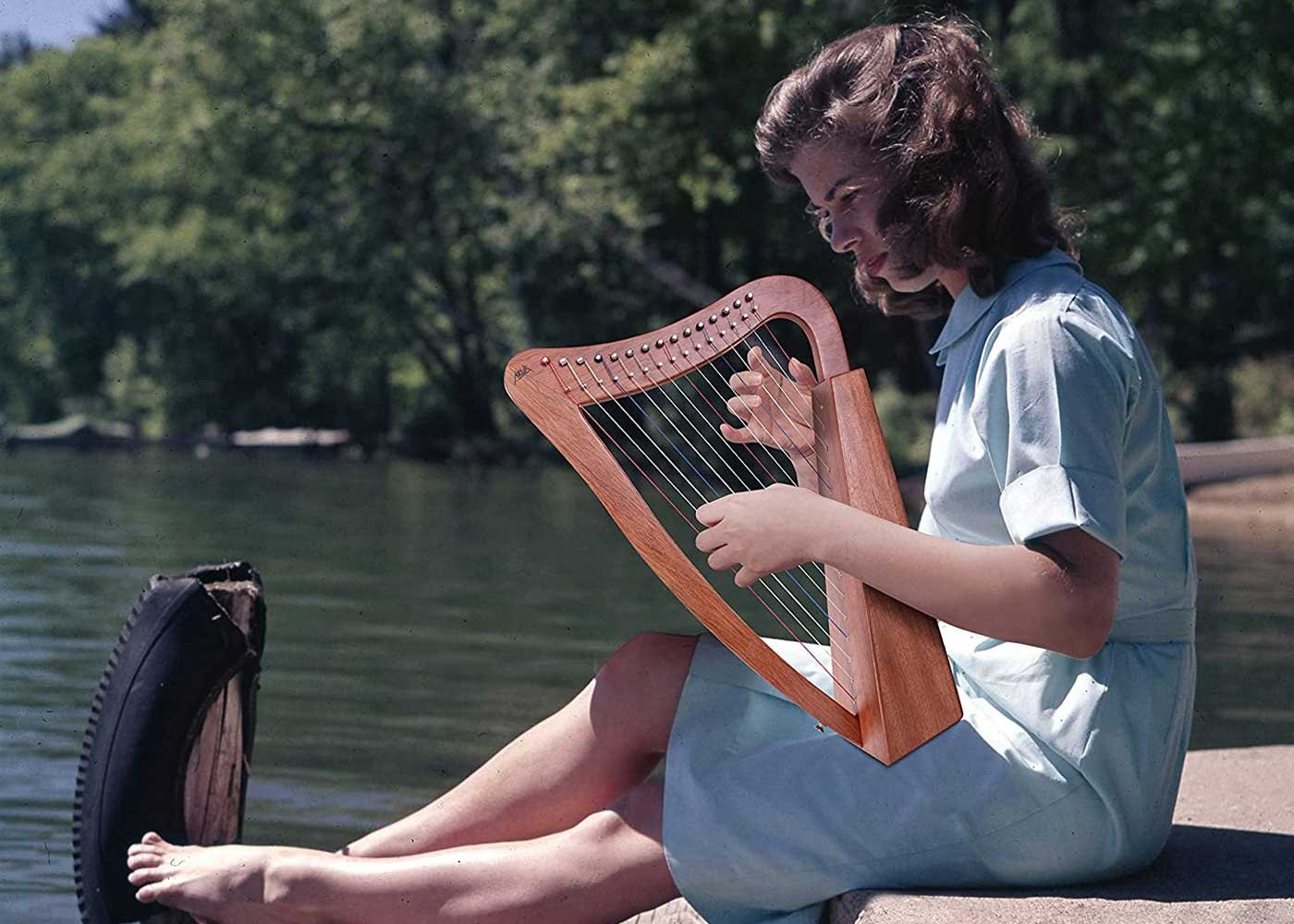 Best Harp For Beginners & Professionals: Reviews & Buying Guide