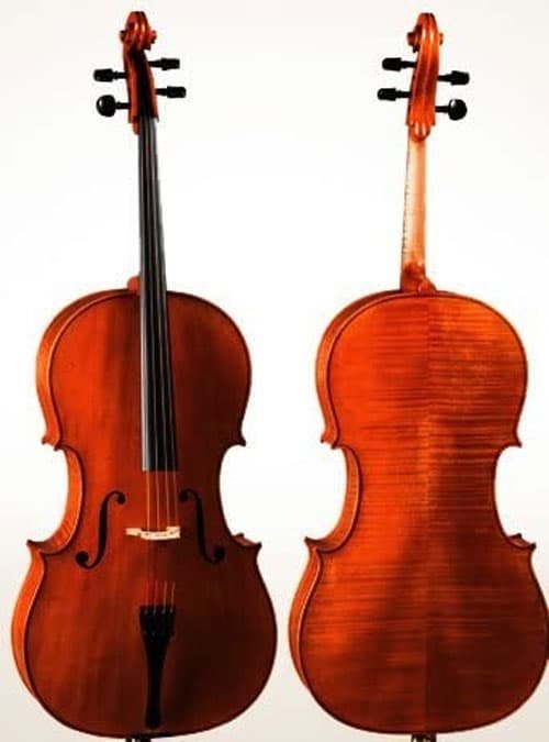 D Z Strad Cello